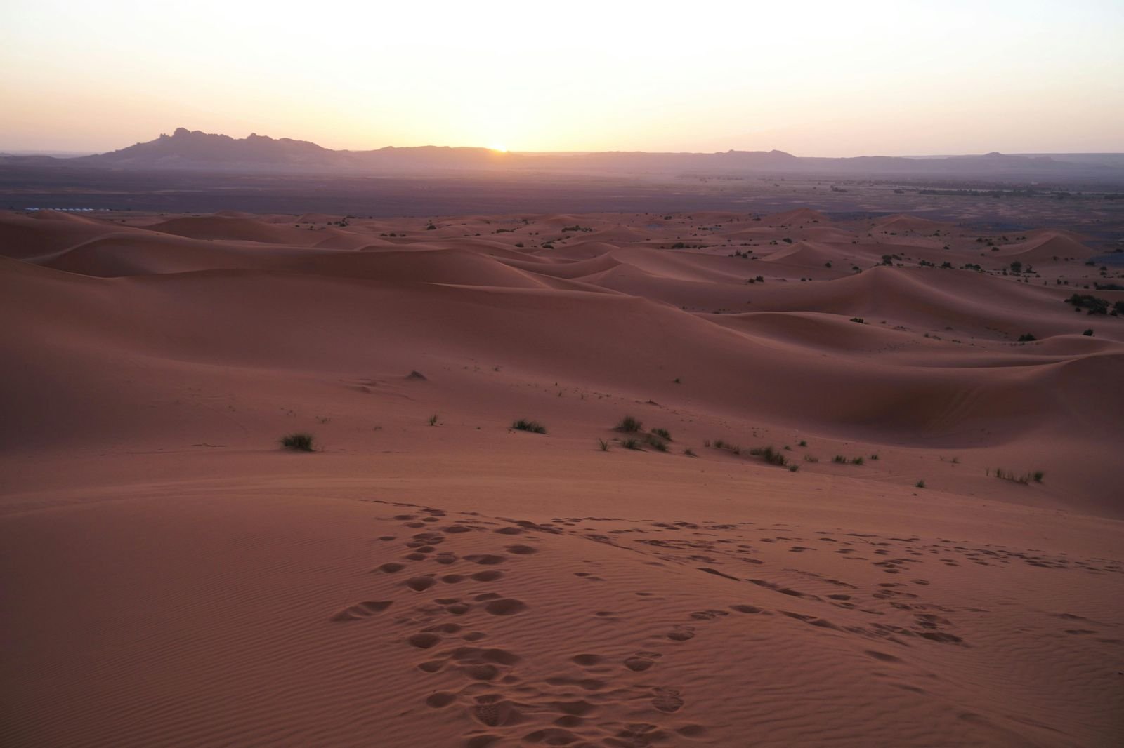 Sahara Desert
